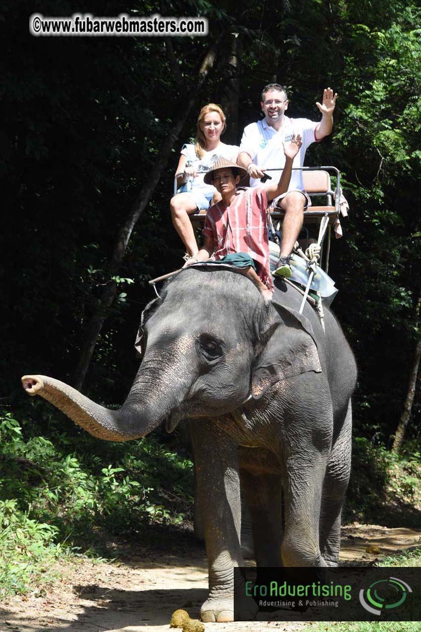 Elephant Safari 