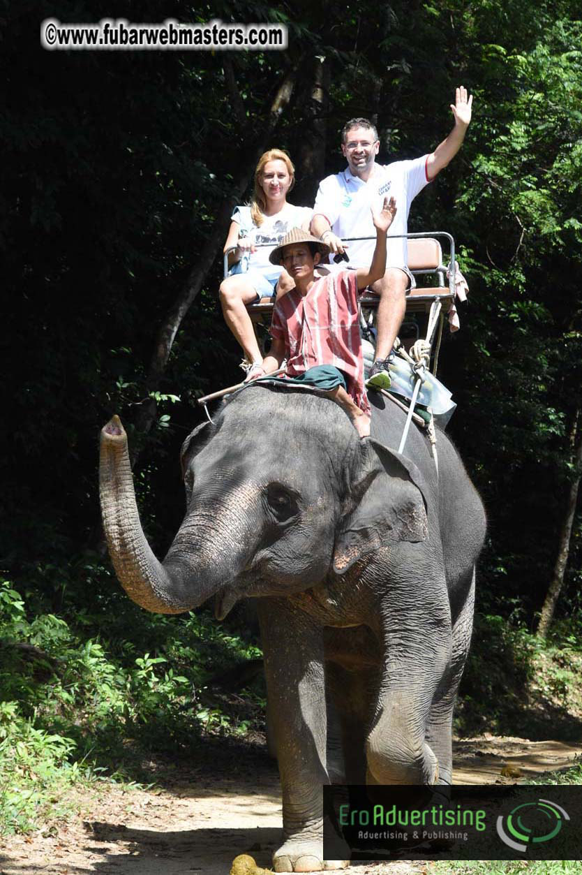 Elephant Safari 