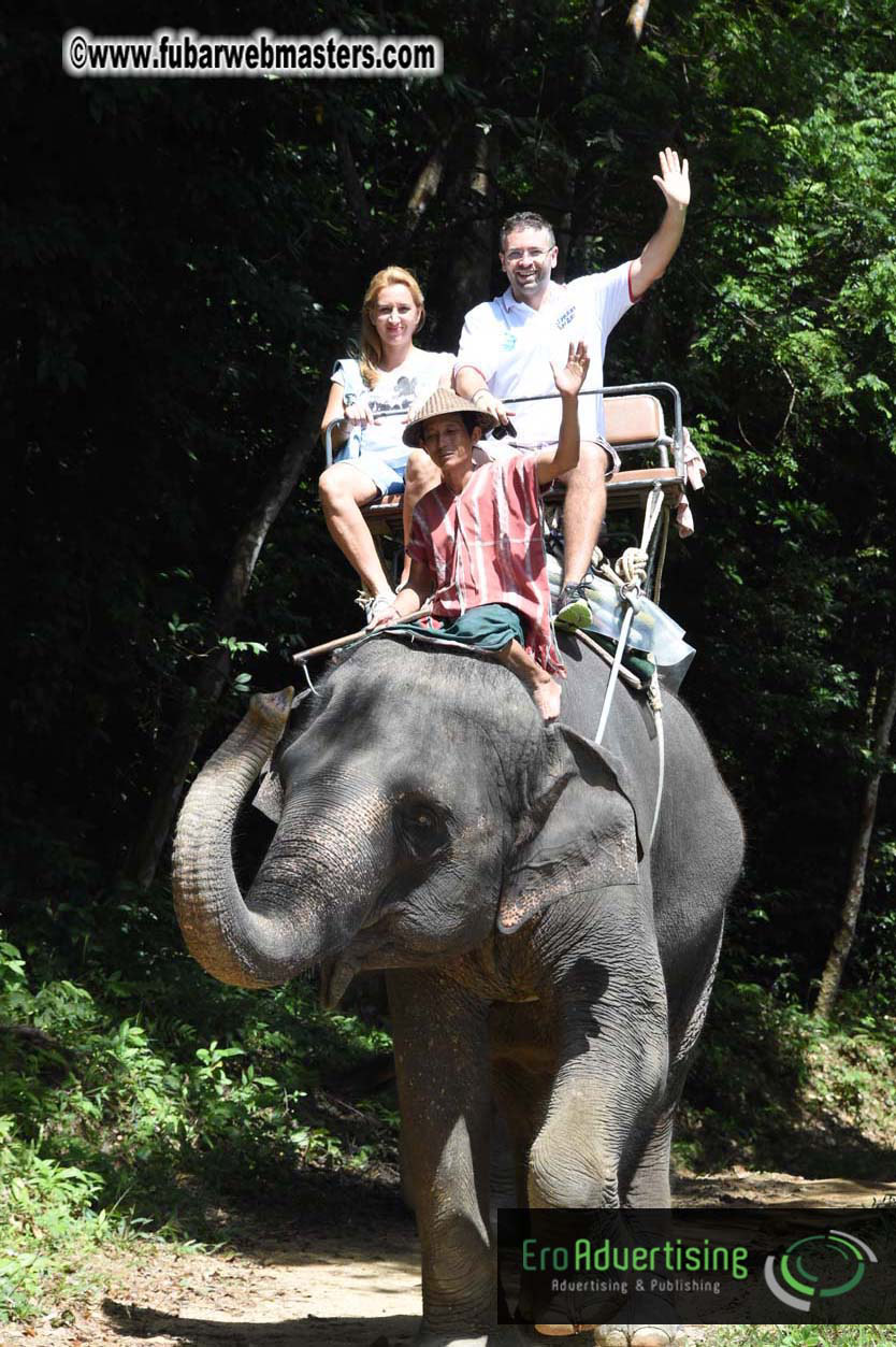 Elephant Safari 