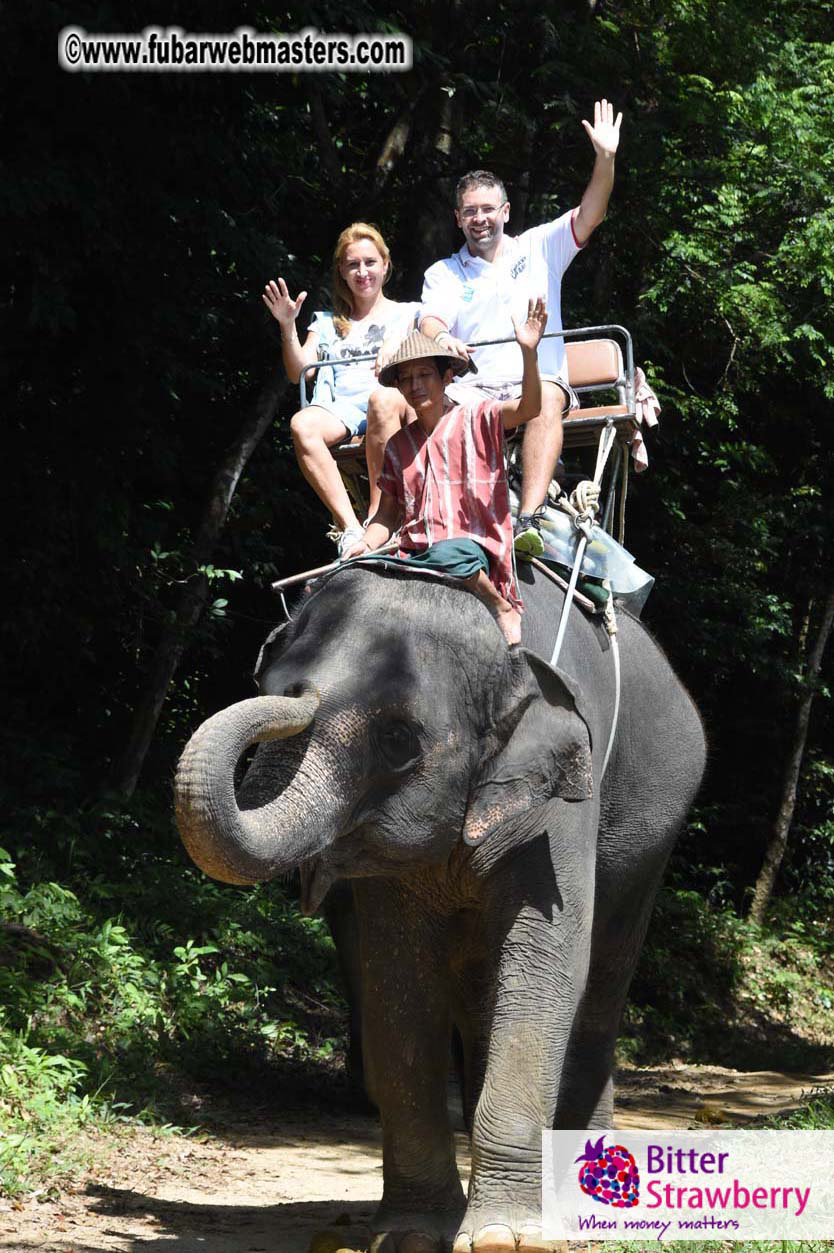 Elephant Safari 