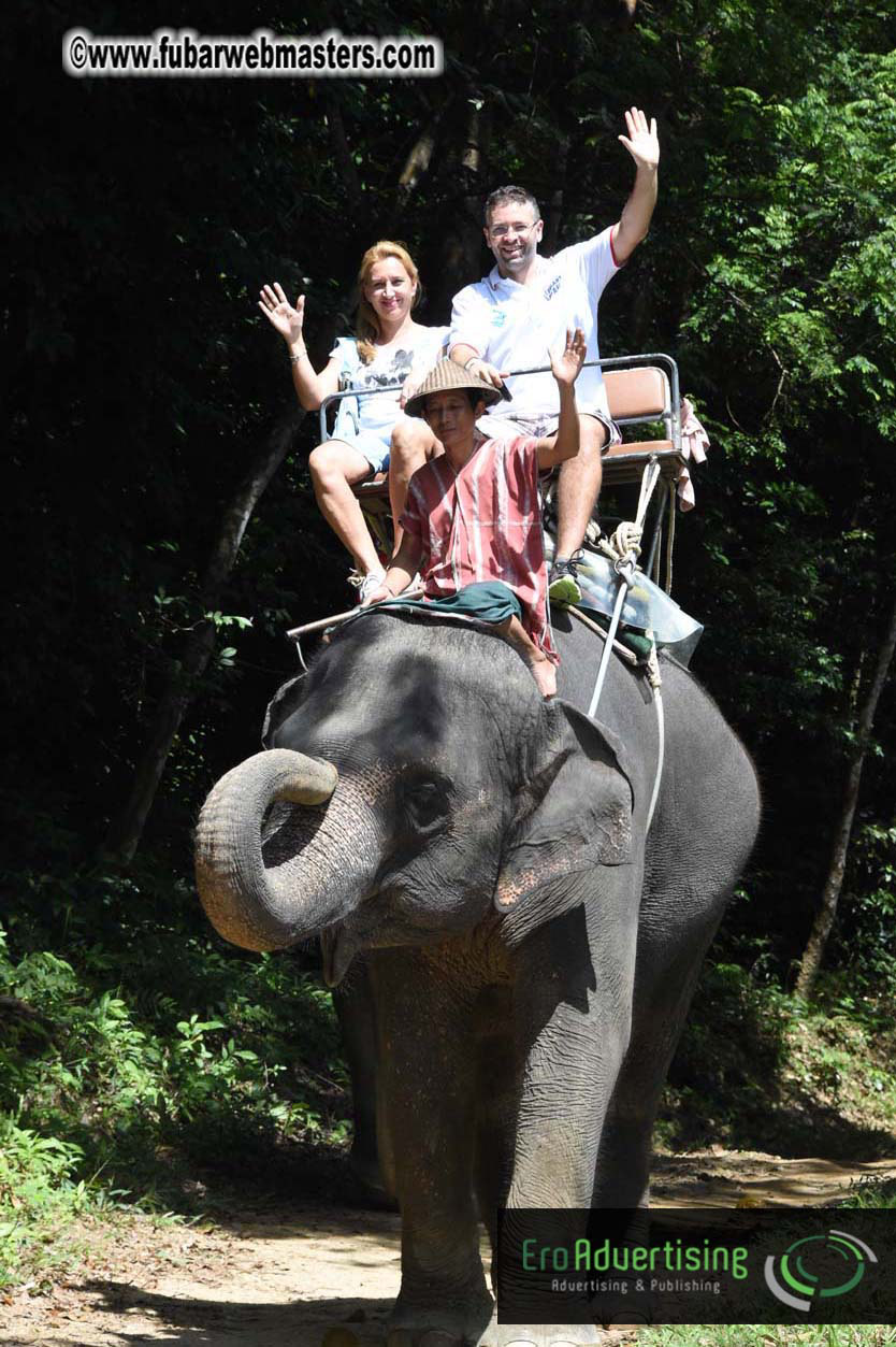 Elephant Safari 