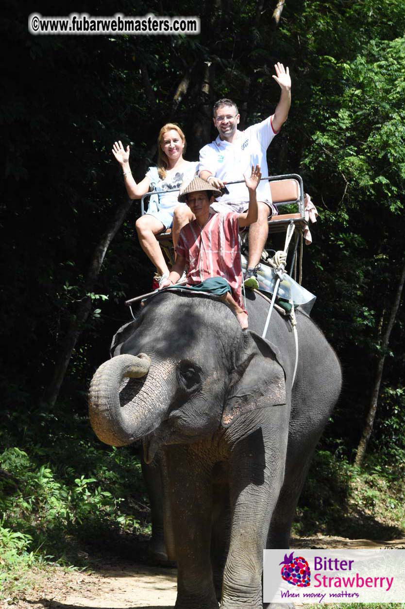 Elephant Safari 