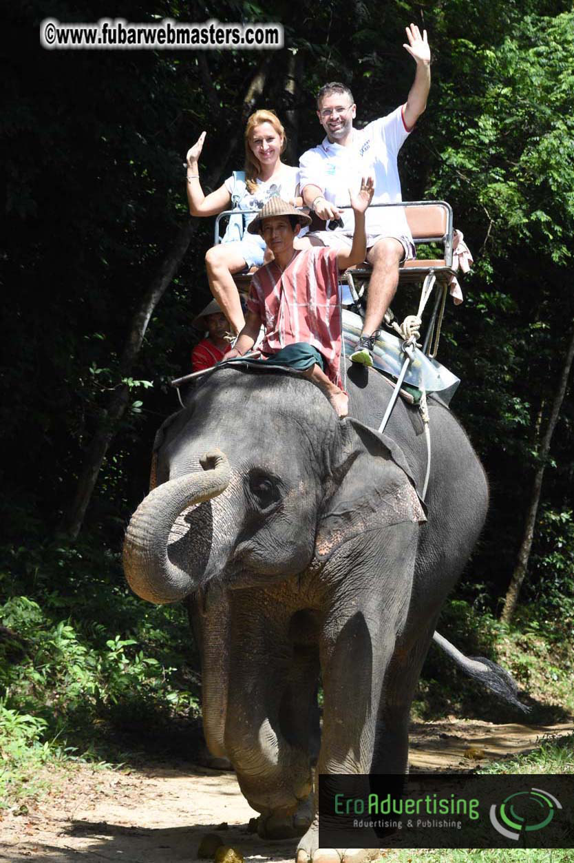 Elephant Safari 