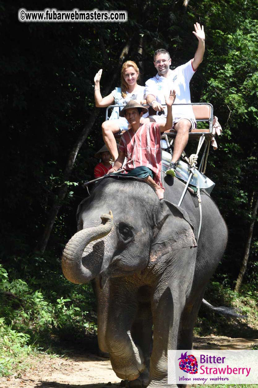 Elephant Safari 