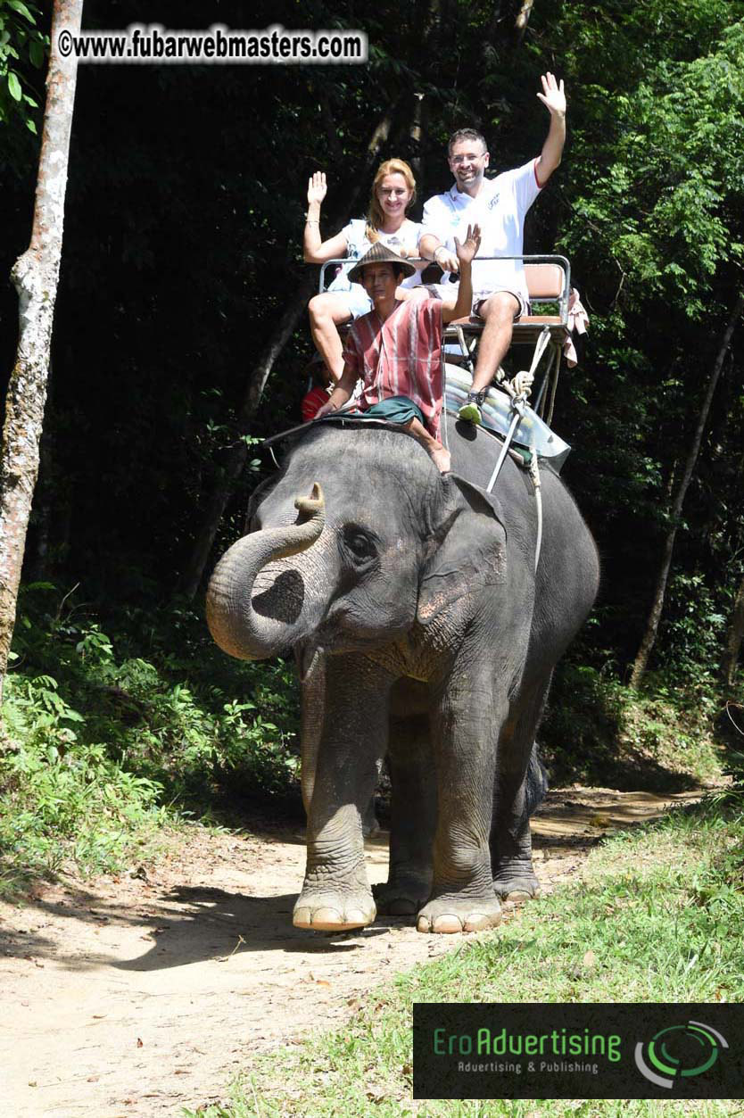 Elephant Safari 