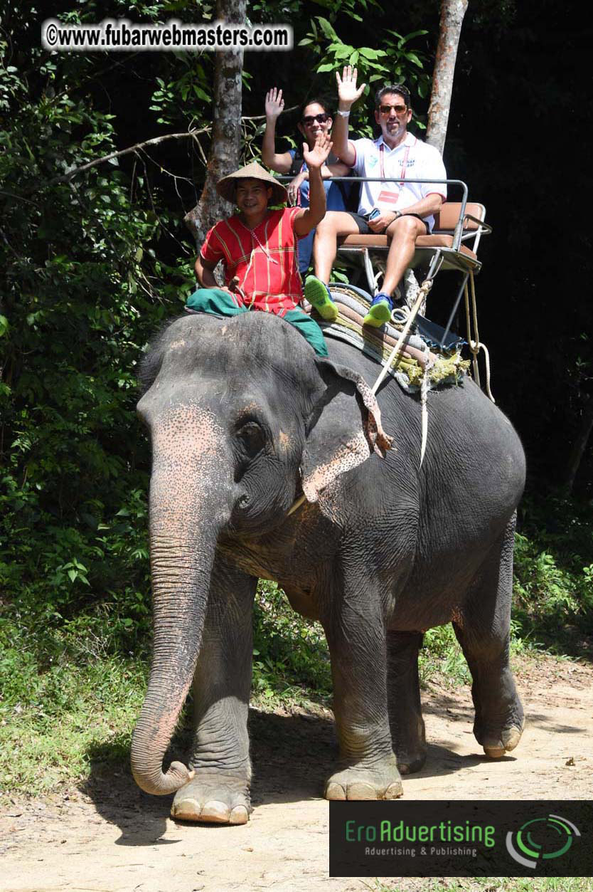 Elephant Safari 