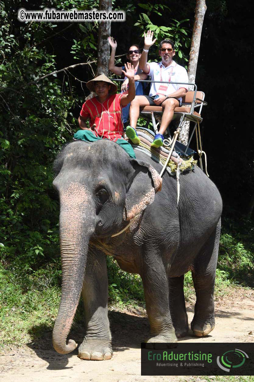 Elephant Safari 