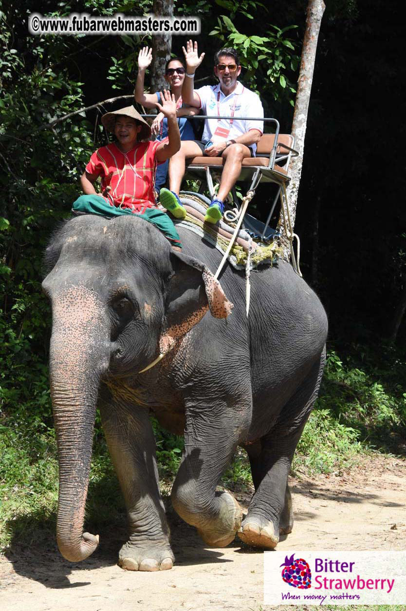 Elephant Safari 