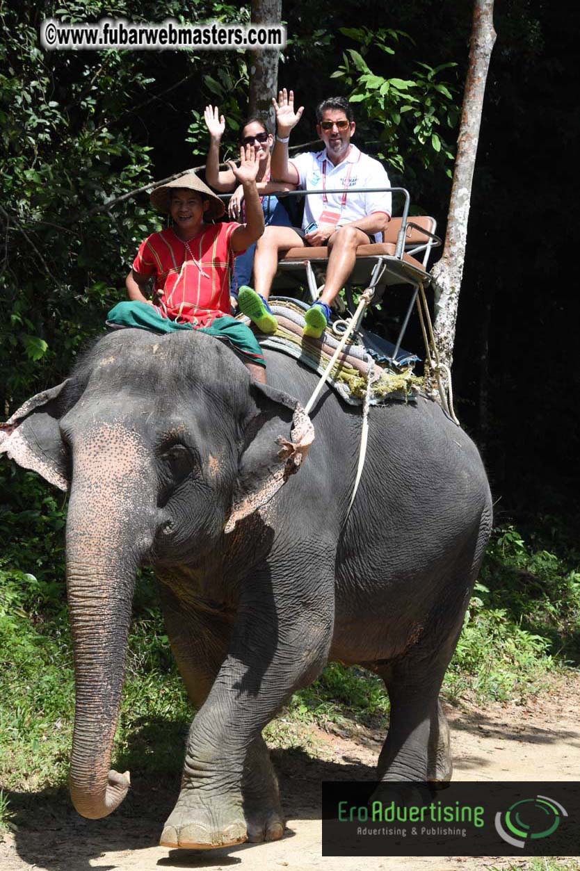 Elephant Safari 