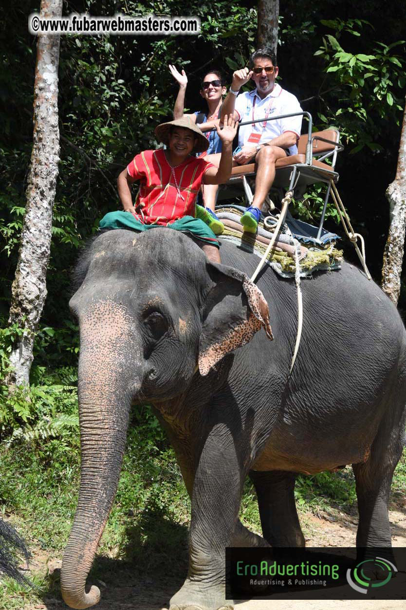 Elephant Safari 