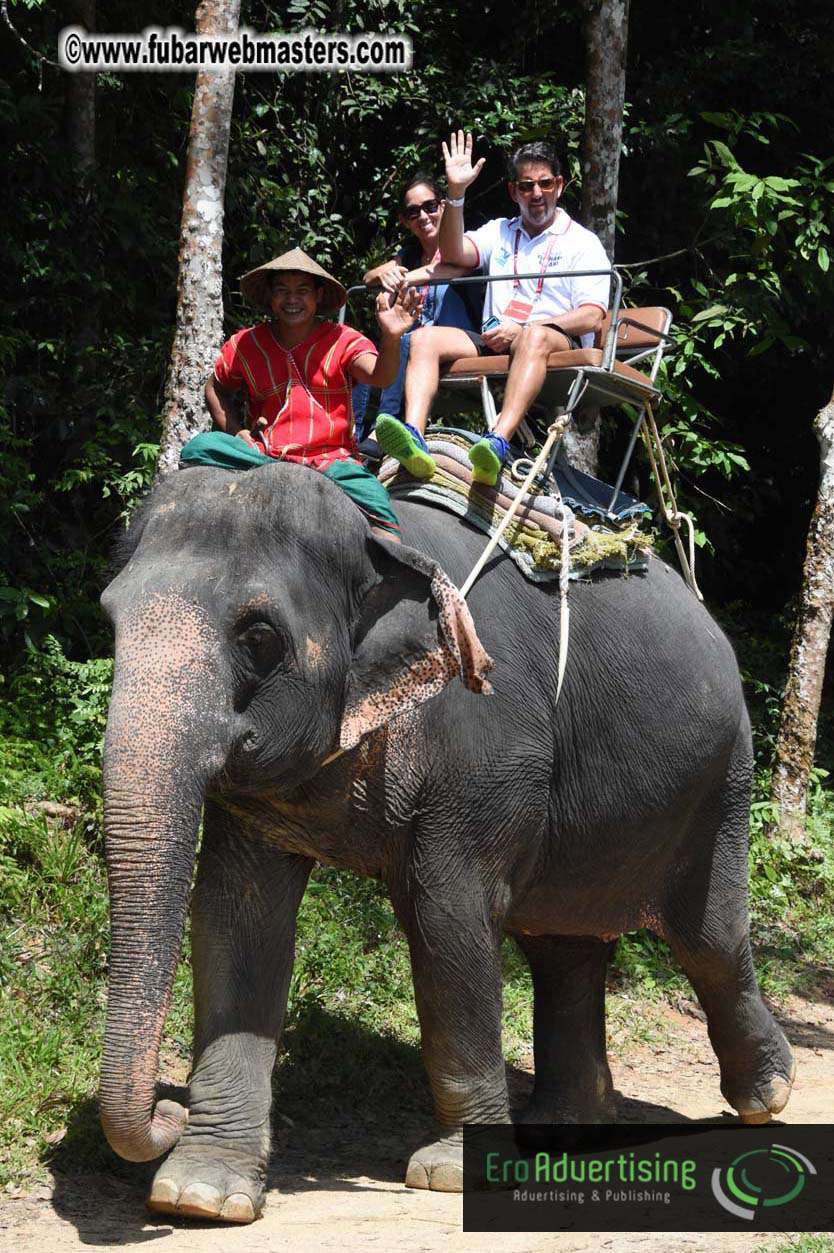 Elephant Safari 