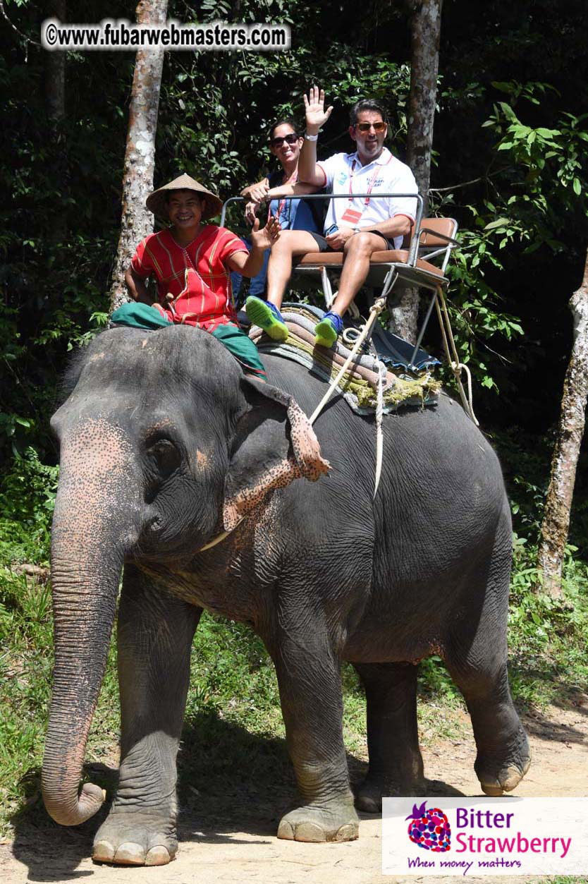 Elephant Safari 