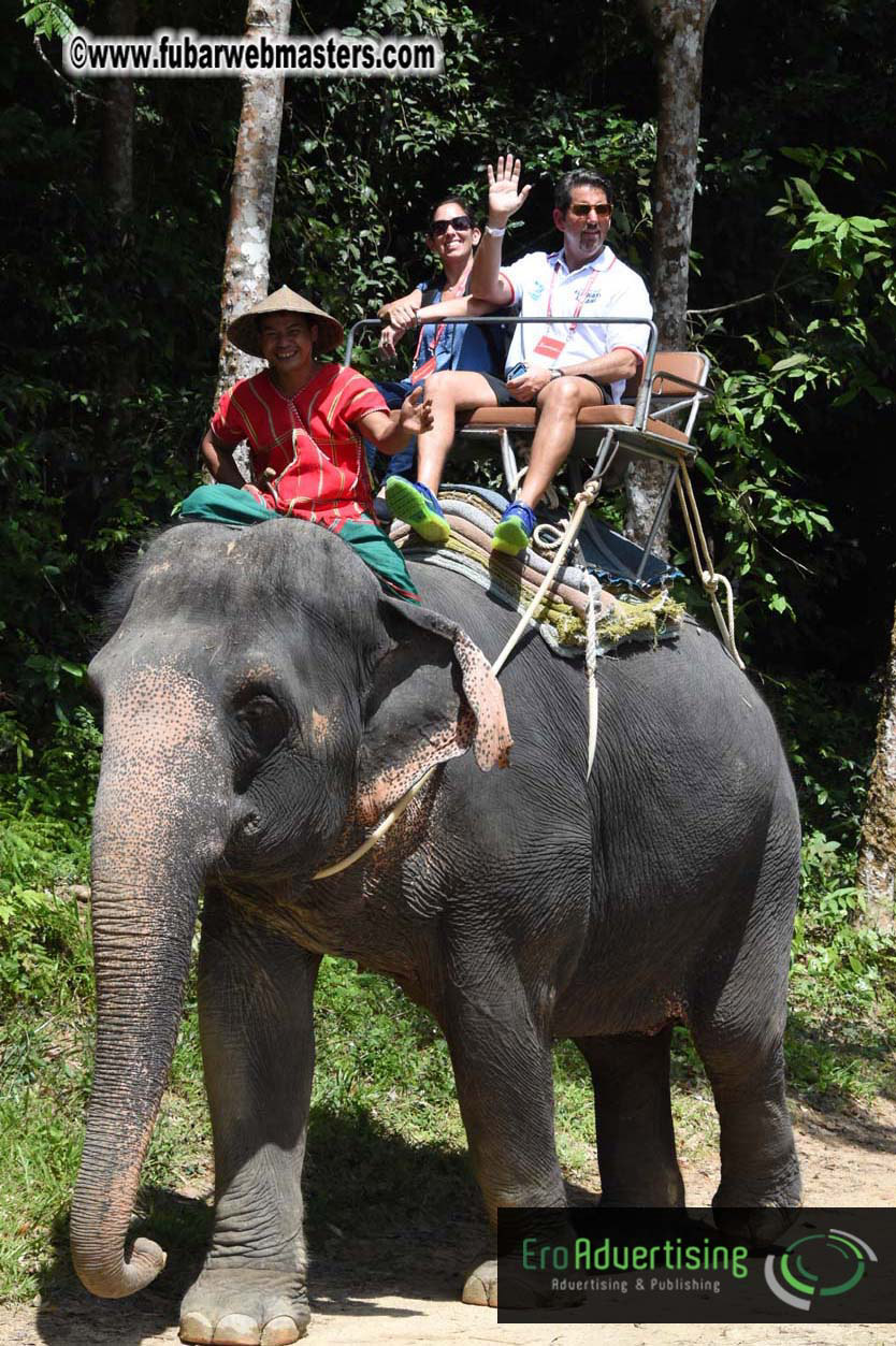 Elephant Safari 