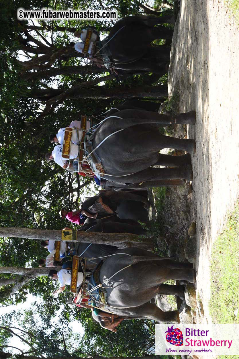 Elephant Safari 