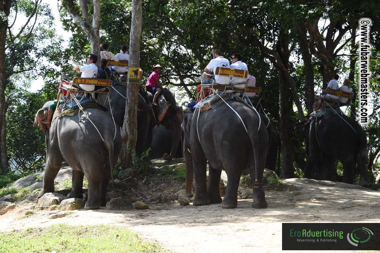 Elephant Safari 