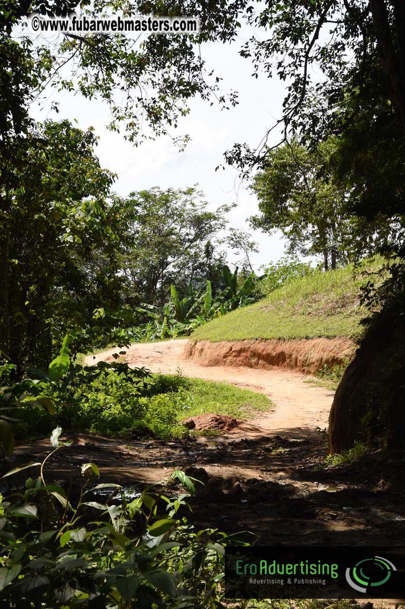 Elephant Safari 