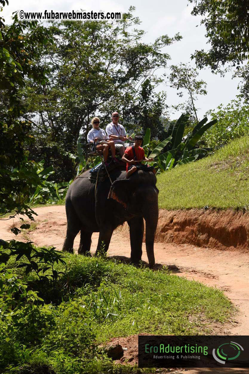 Elephant Safari 