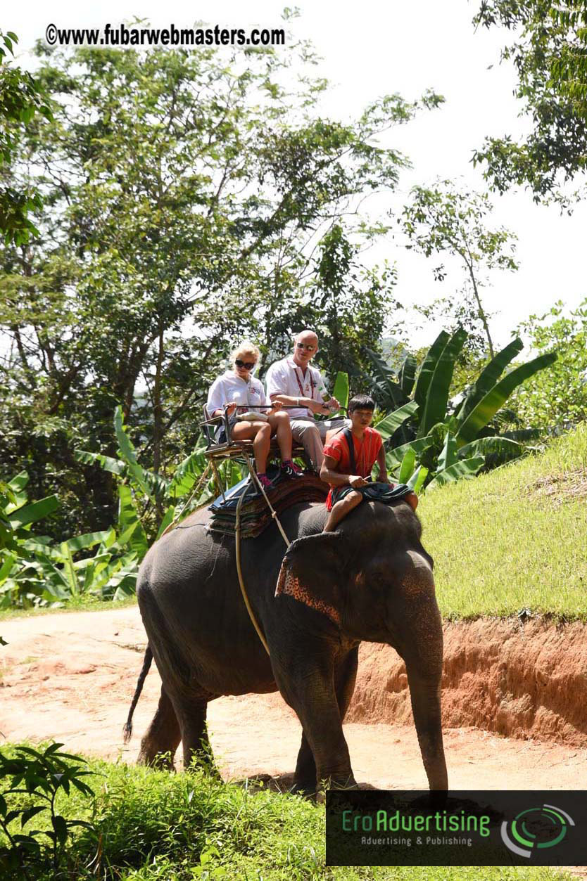 Elephant Safari 