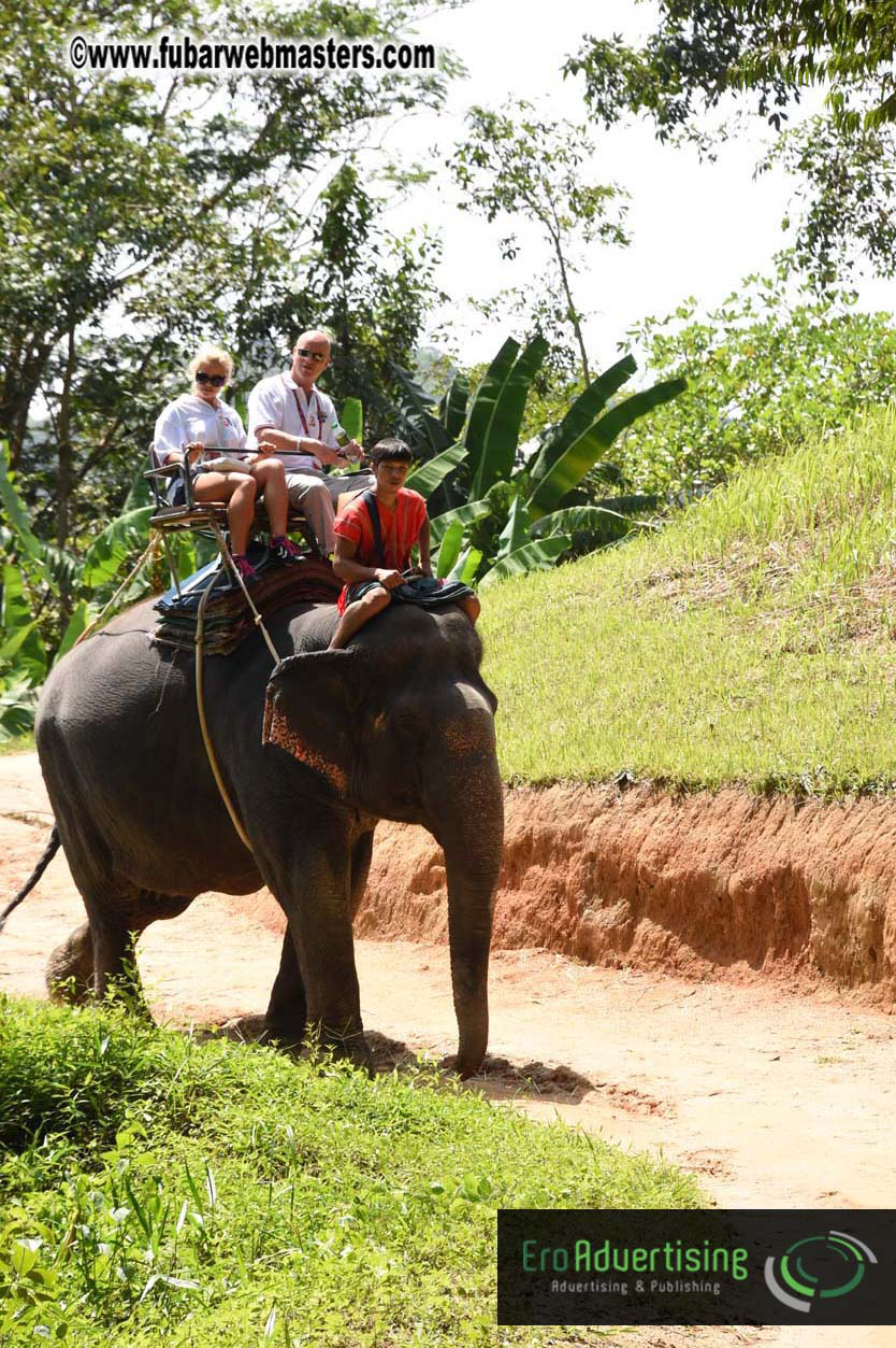 Elephant Safari 