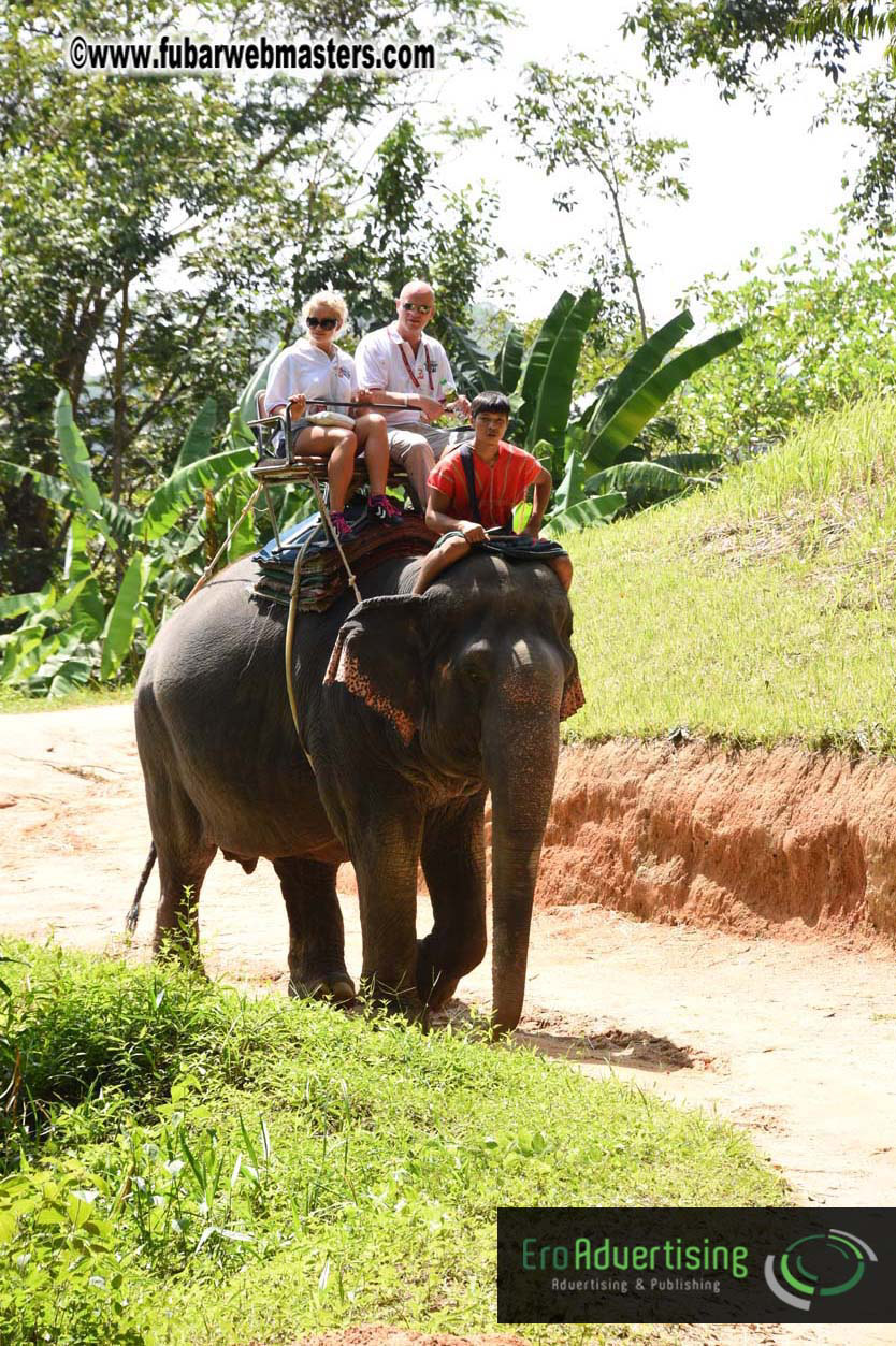 Elephant Safari 