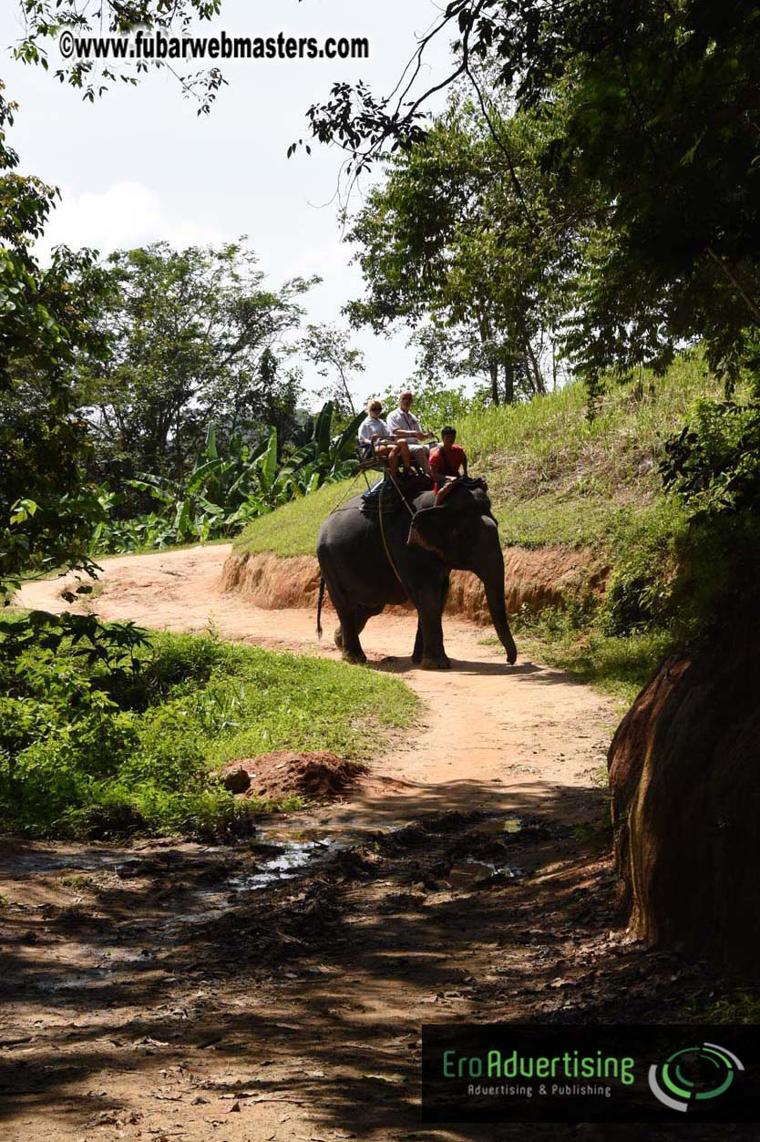 Elephant Safari 