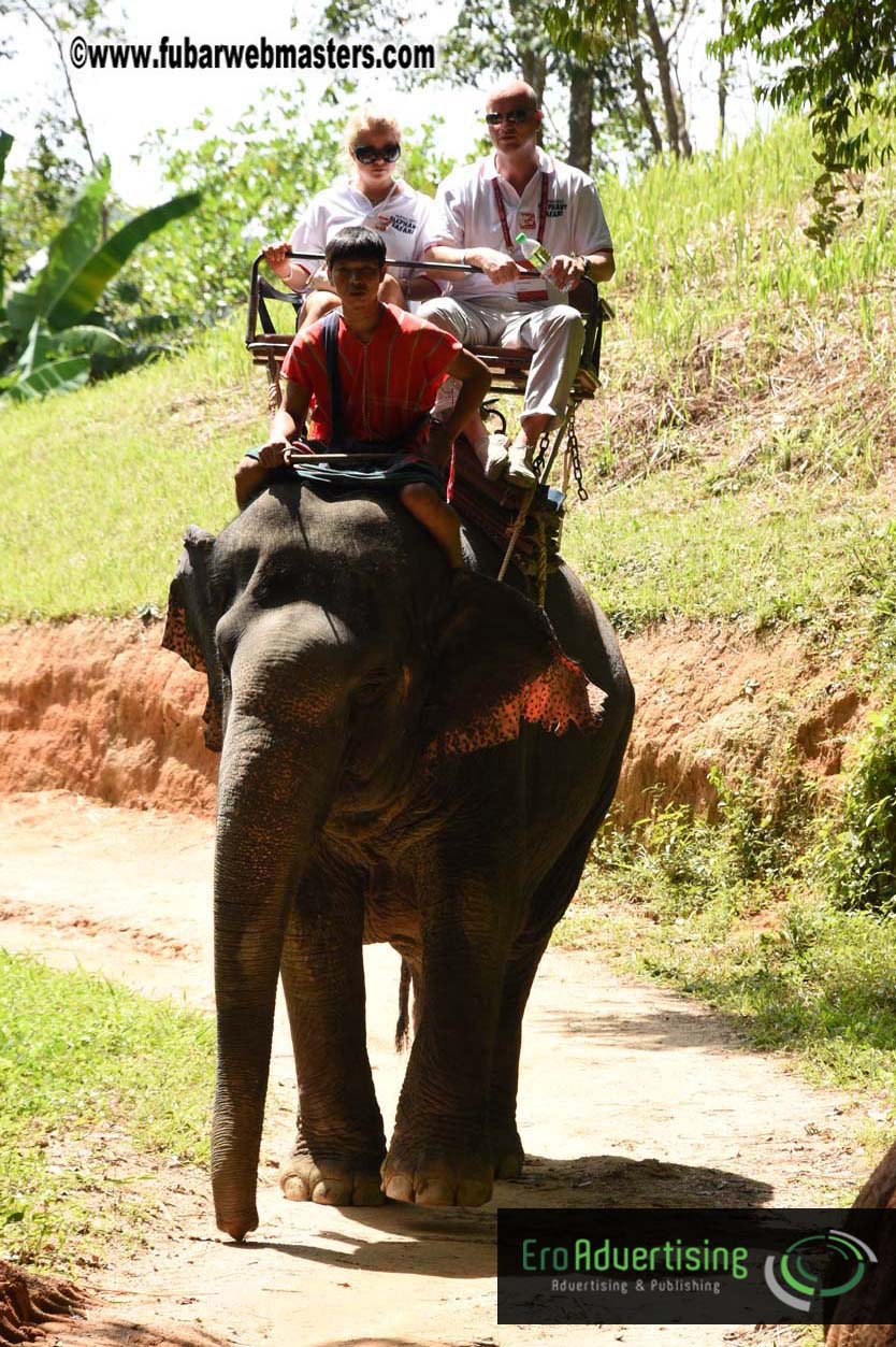 Elephant Safari 