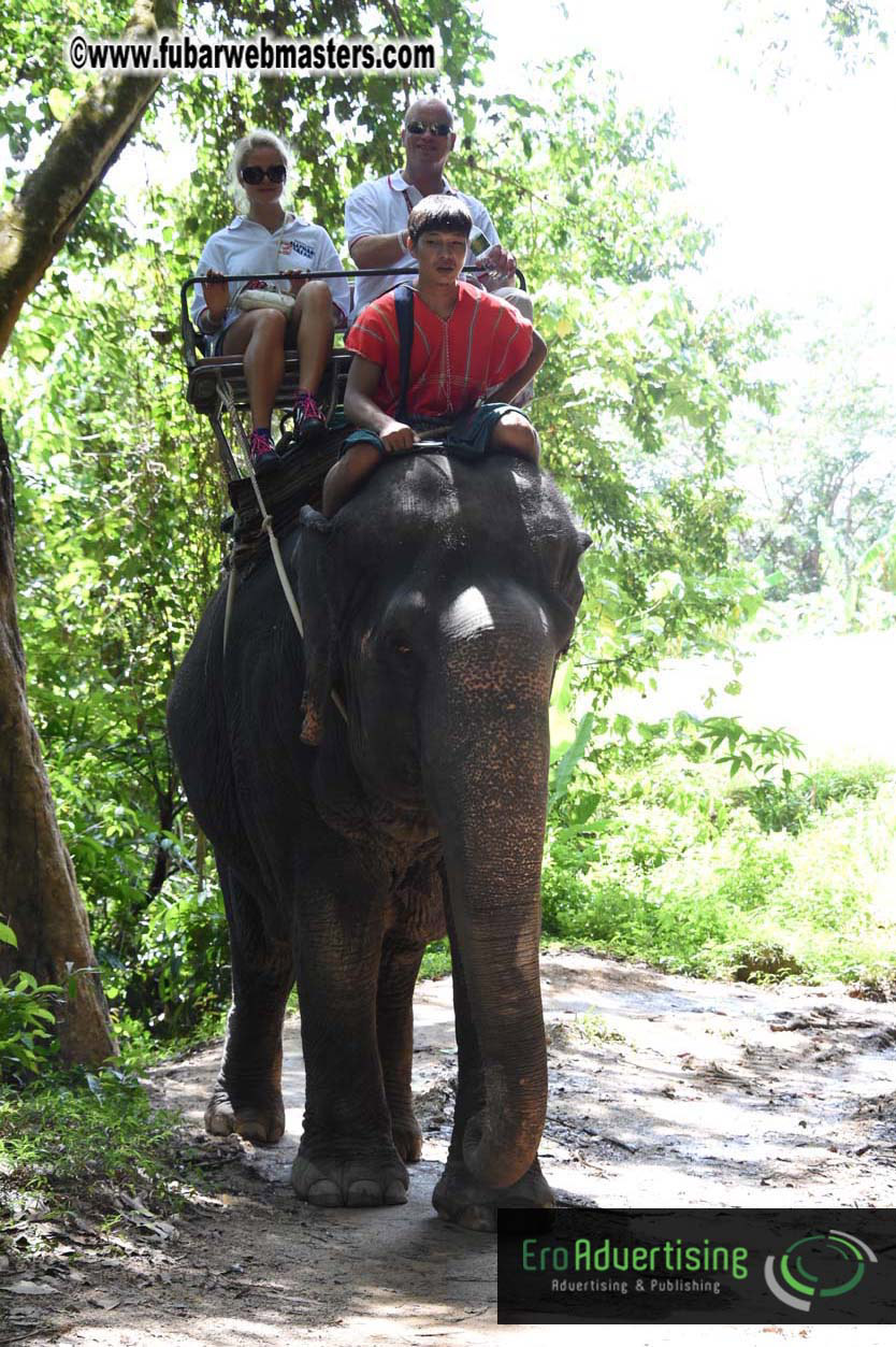 Elephant Safari 