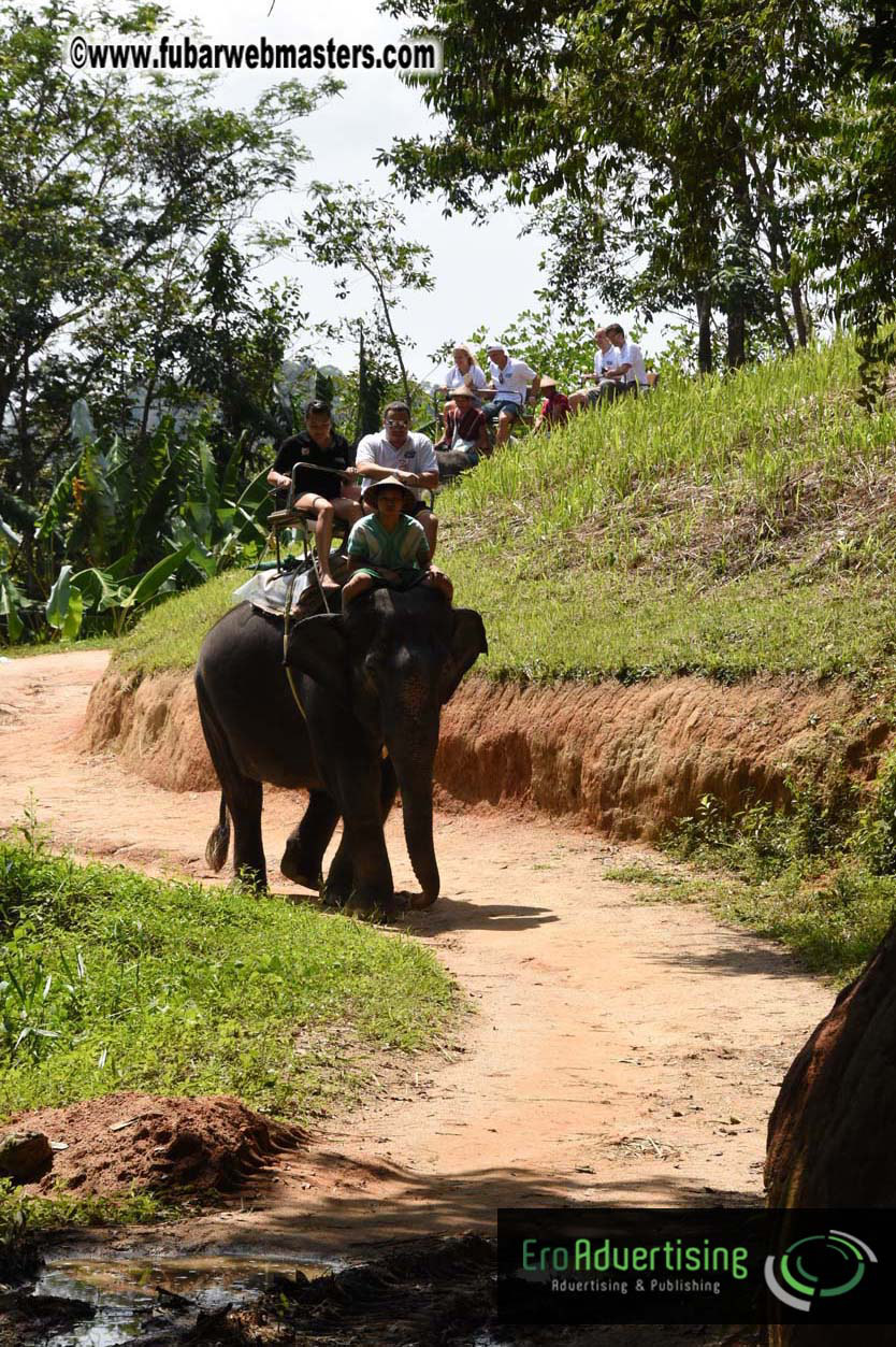 Elephant Safari 