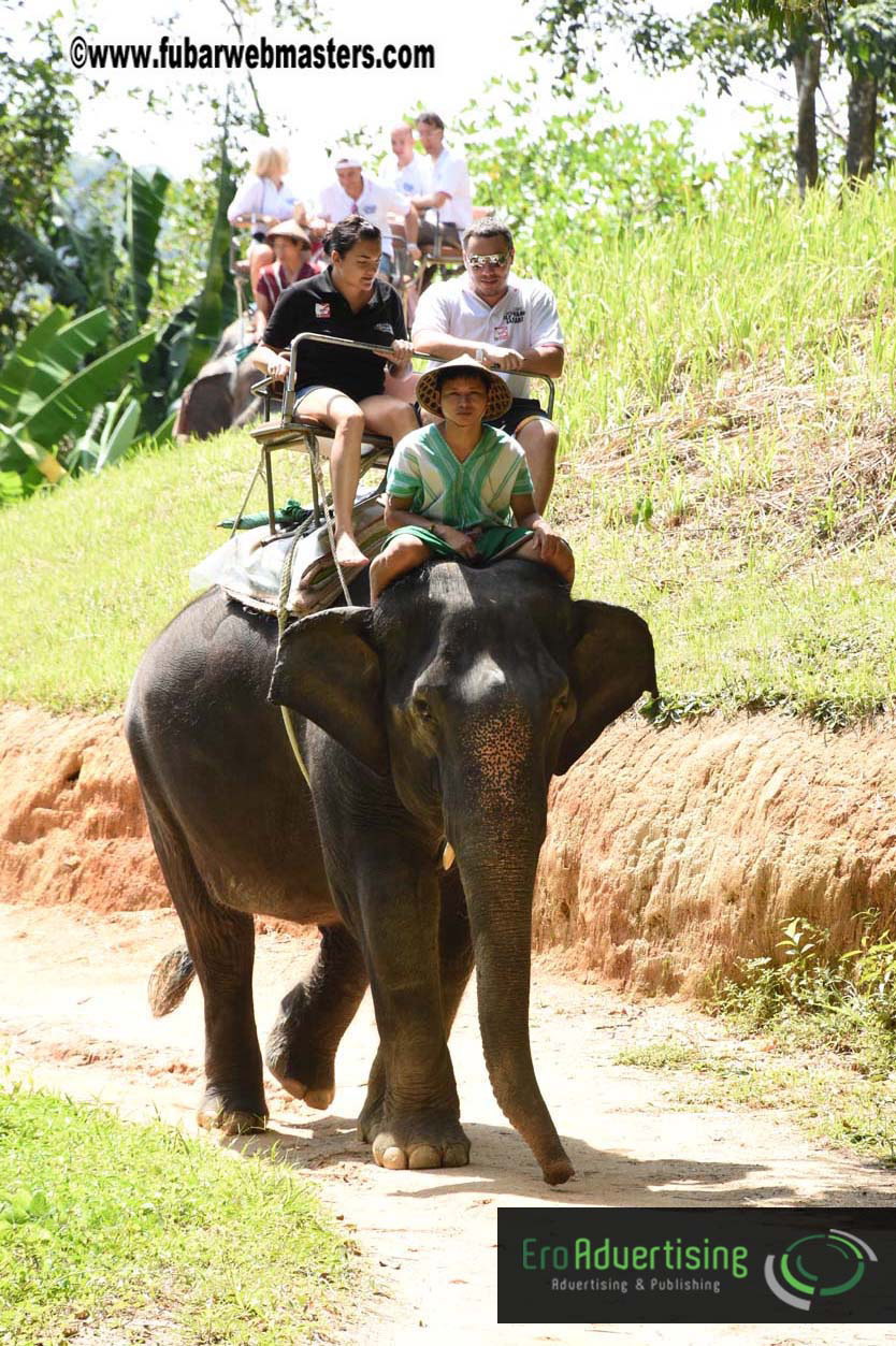 Elephant Safari 