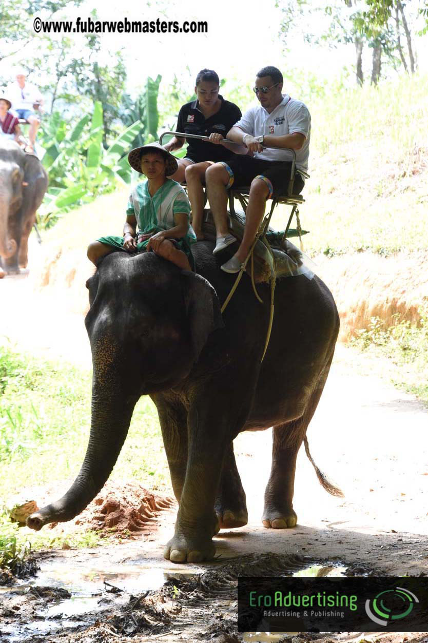 Elephant Safari 