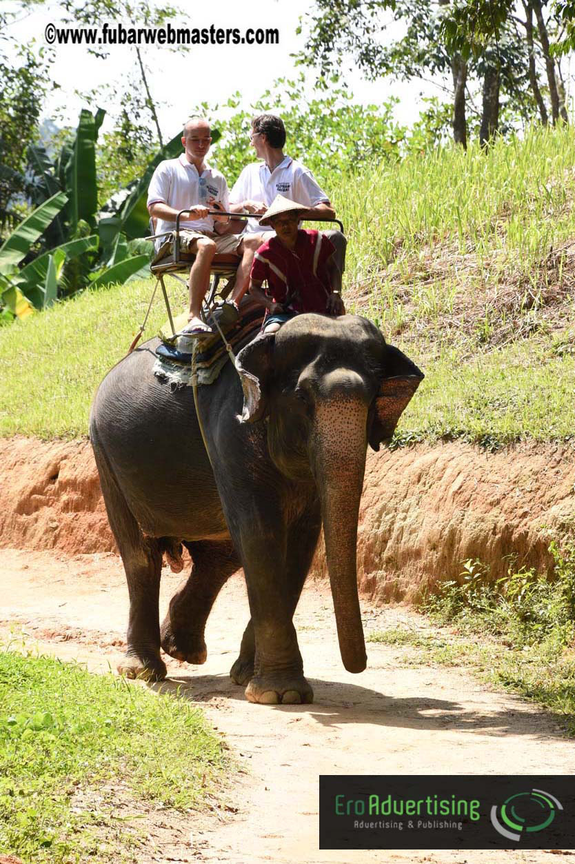 Elephant Safari 