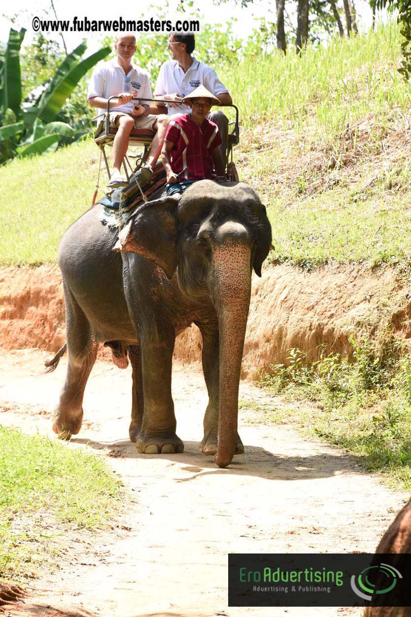 Elephant Safari 