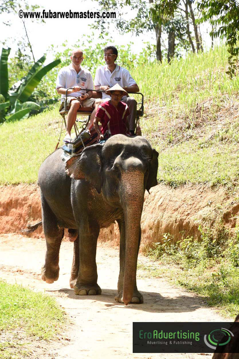 Elephant Safari 