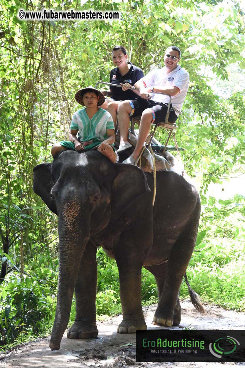 Elephant Safari 