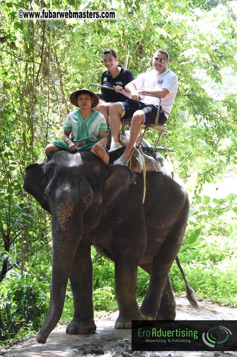 Elephant Safari 