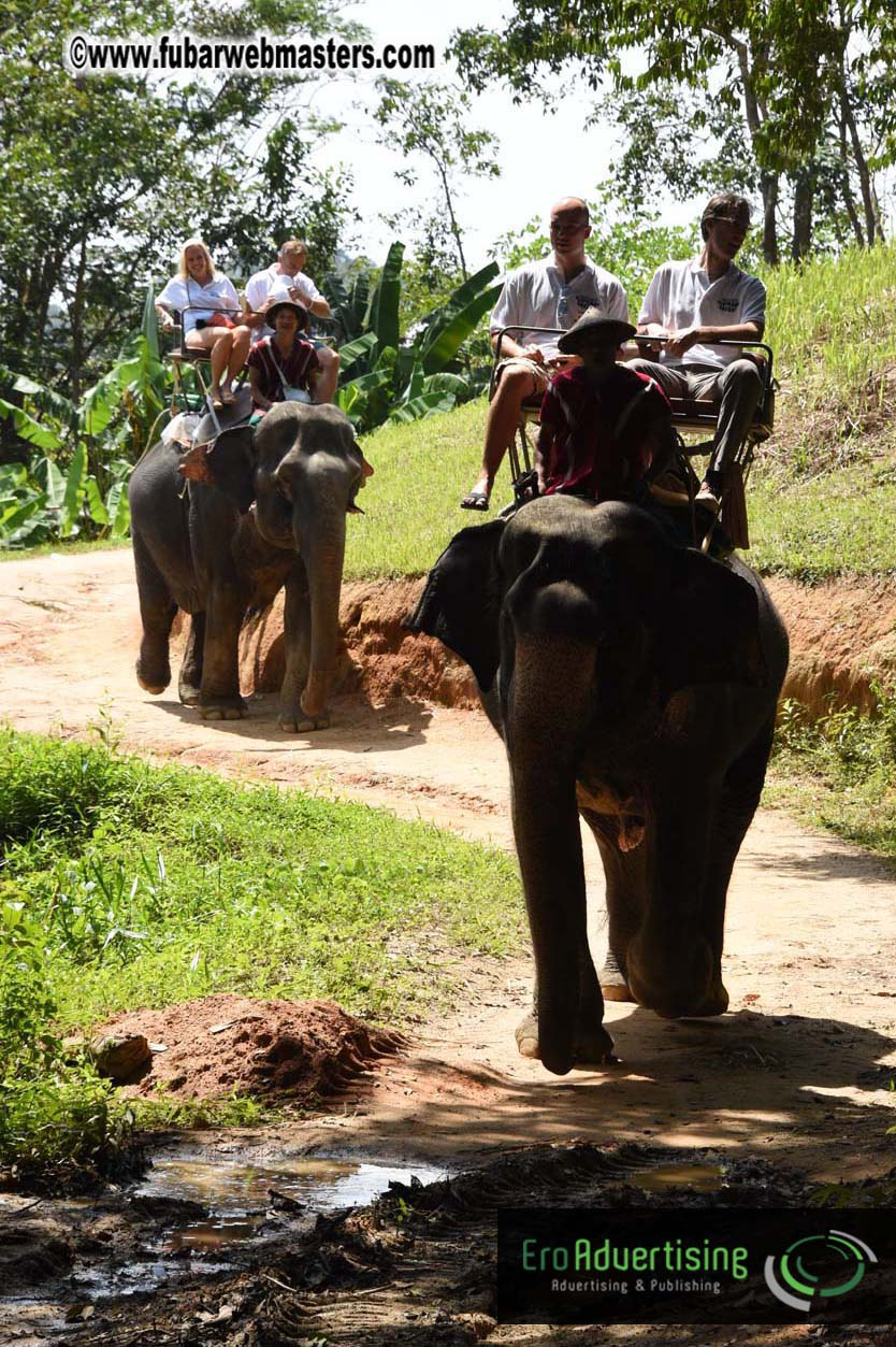 Elephant Safari 