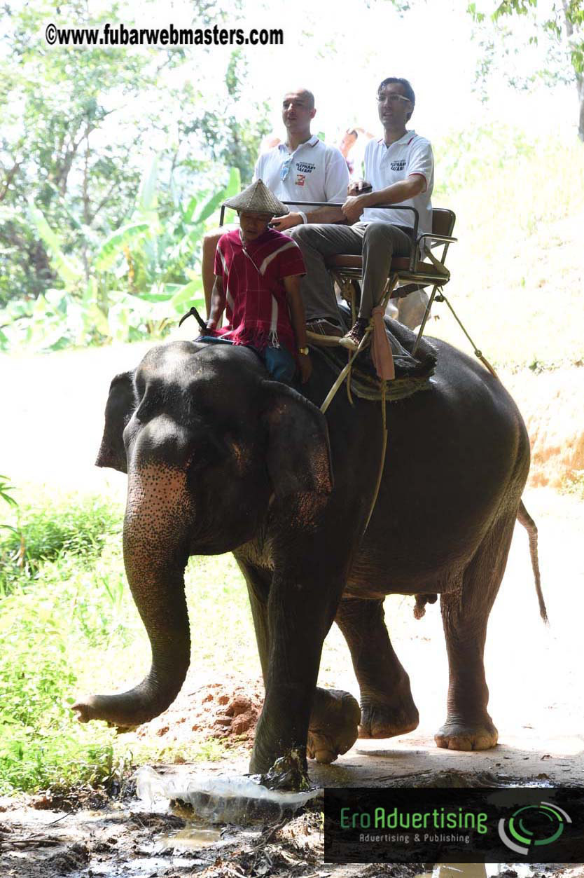 Elephant Safari 