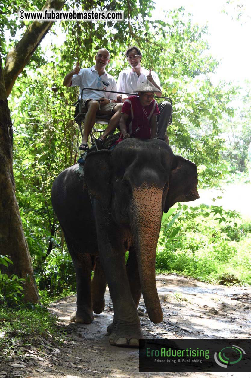 Elephant Safari 