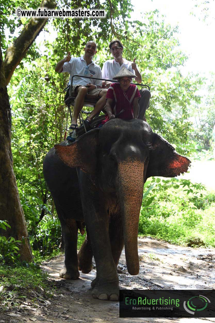 Elephant Safari 