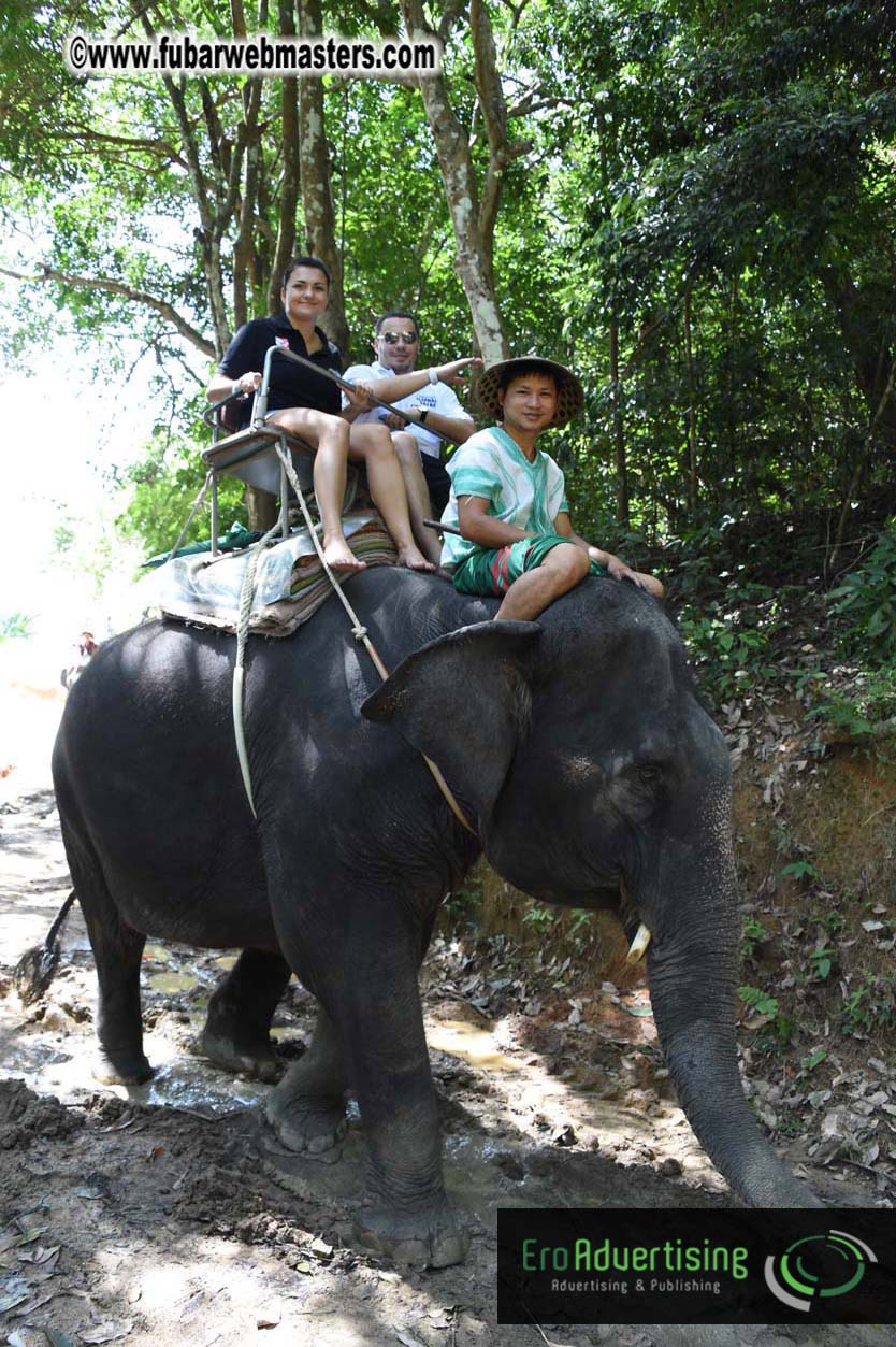 Elephant Safari 