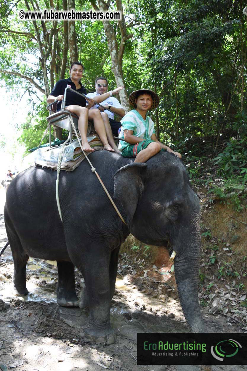 Elephant Safari 