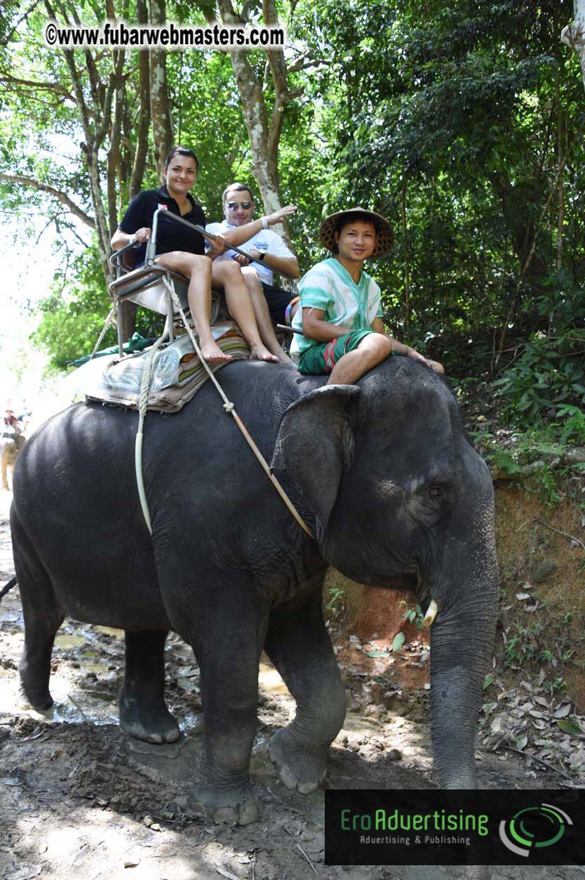 Elephant Safari 