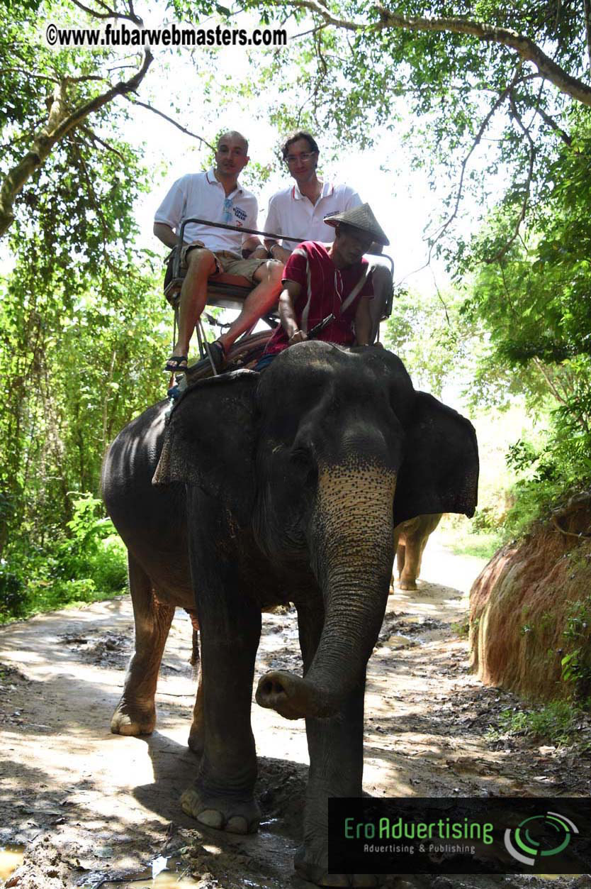 Elephant Safari 