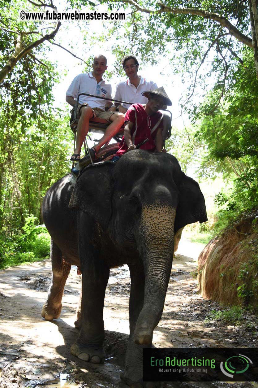 Elephant Safari 