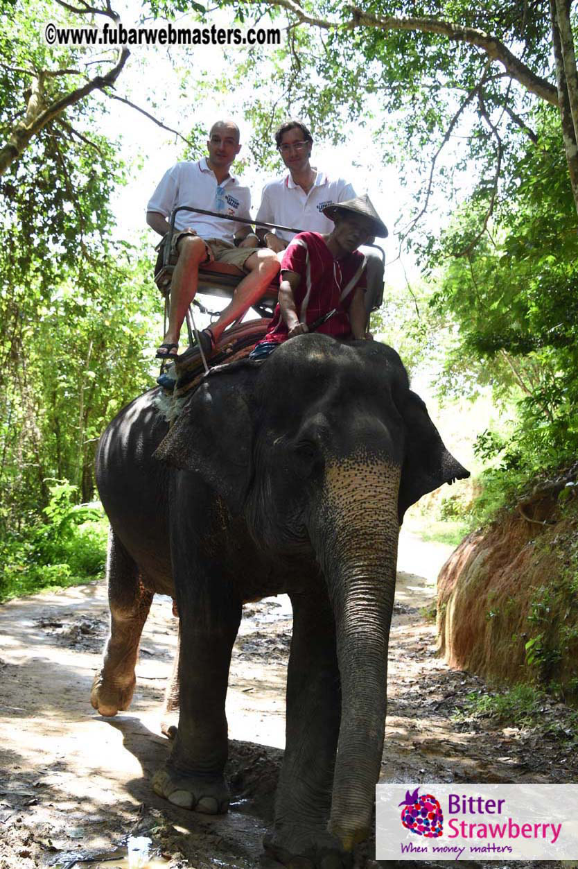 Elephant Safari 