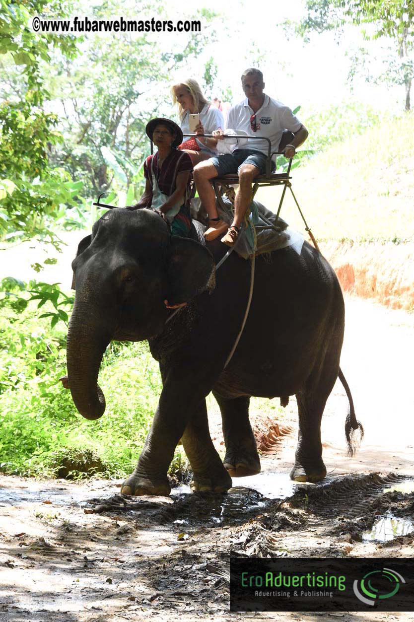 Elephant Safari 