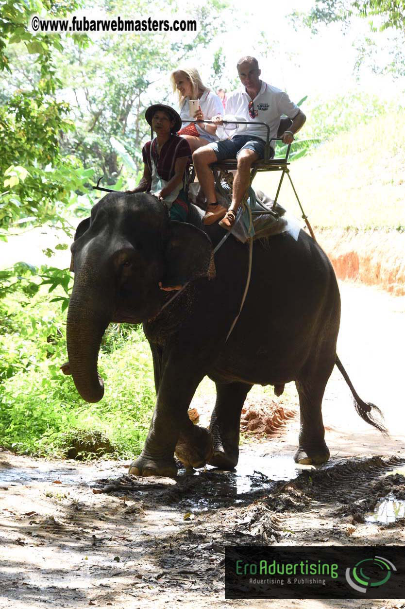 Elephant Safari 