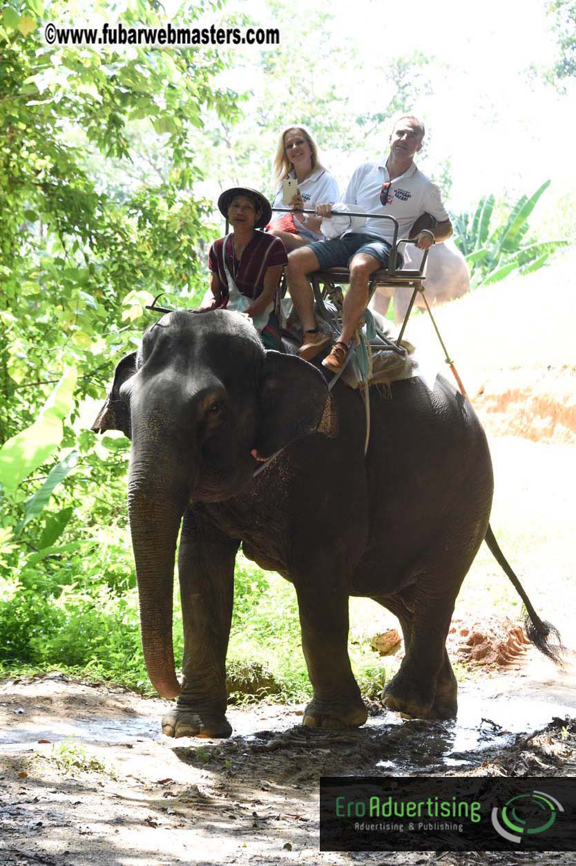 Elephant Safari 