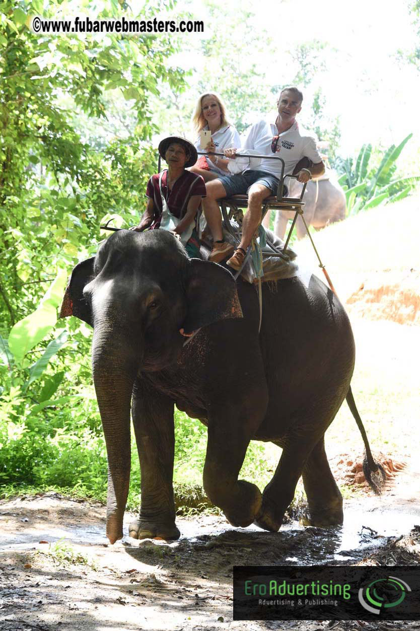 Elephant Safari 