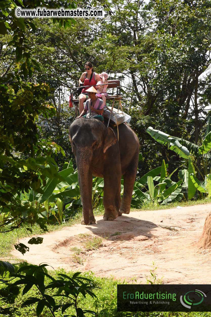 Elephant Safari 